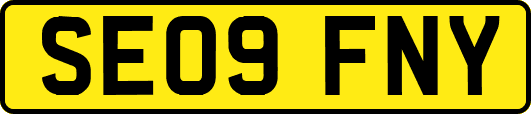SE09FNY