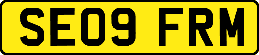 SE09FRM
