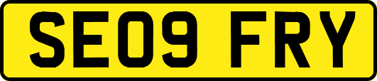 SE09FRY