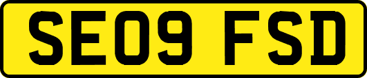 SE09FSD
