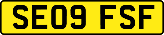 SE09FSF