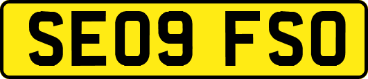 SE09FSO