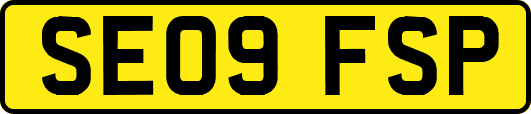 SE09FSP