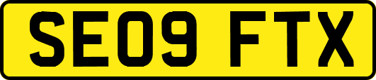 SE09FTX