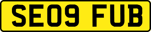 SE09FUB