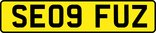 SE09FUZ