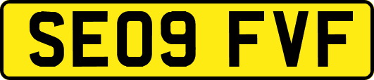 SE09FVF