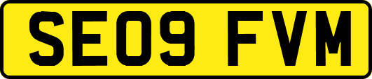 SE09FVM