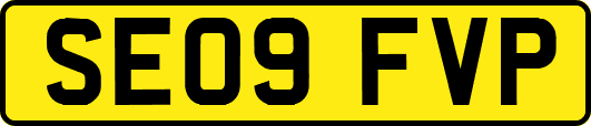 SE09FVP