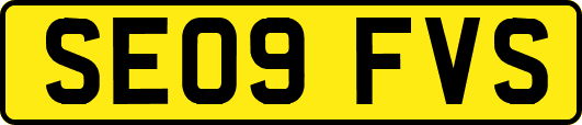SE09FVS
