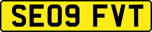 SE09FVT