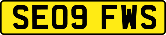 SE09FWS