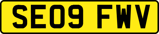 SE09FWV