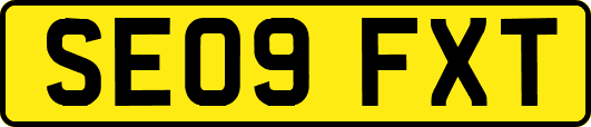 SE09FXT