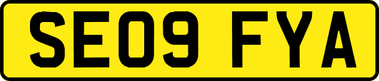 SE09FYA