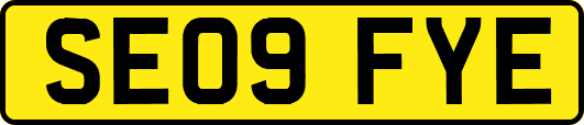 SE09FYE