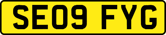 SE09FYG