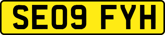 SE09FYH