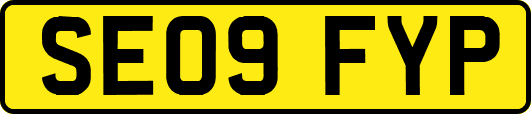 SE09FYP