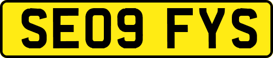 SE09FYS