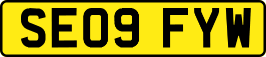 SE09FYW