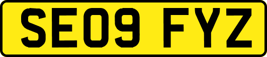 SE09FYZ