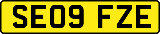 SE09FZE
