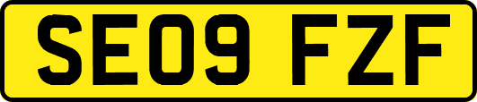 SE09FZF