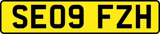 SE09FZH