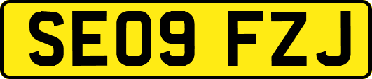 SE09FZJ