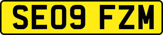 SE09FZM