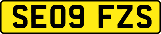SE09FZS