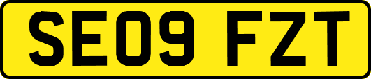SE09FZT