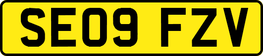 SE09FZV