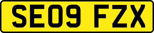 SE09FZX