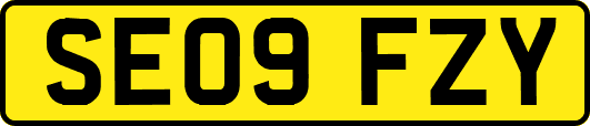 SE09FZY