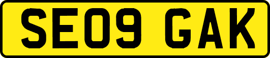 SE09GAK