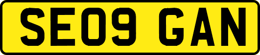 SE09GAN