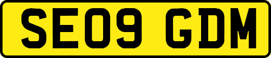 SE09GDM