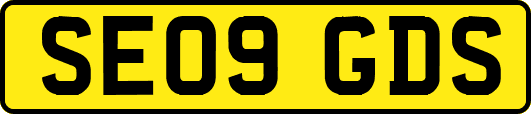 SE09GDS
