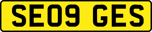 SE09GES