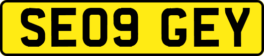 SE09GEY