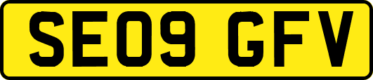 SE09GFV
