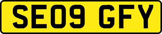 SE09GFY