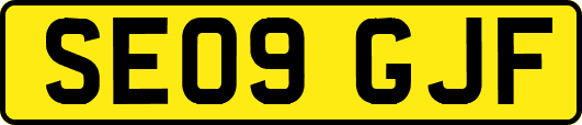 SE09GJF