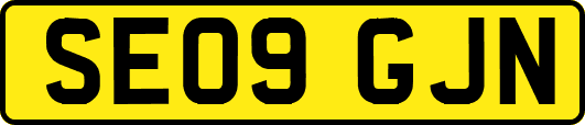 SE09GJN