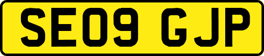 SE09GJP