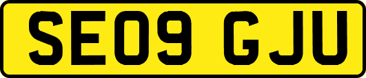 SE09GJU