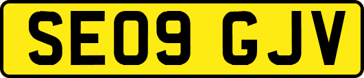 SE09GJV