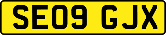 SE09GJX